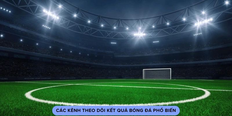 Các kênh theo dõi kết quả bóng đá phổ biến