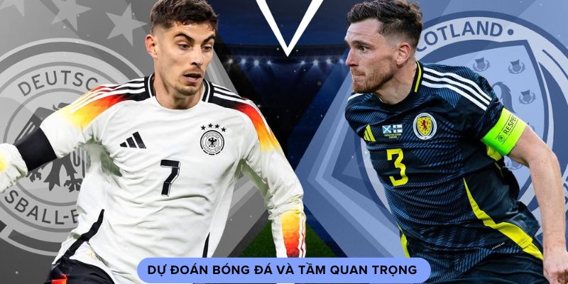  Dự đoán bóng đá và tầm quan trọng